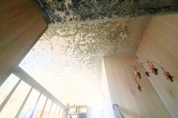 Images First Response Restoration, Water Damage Minneapolis Specialist
