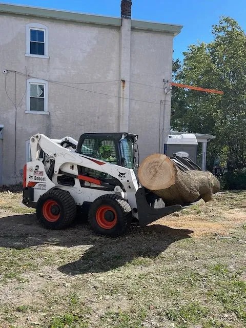 Kingkiner Tree Service