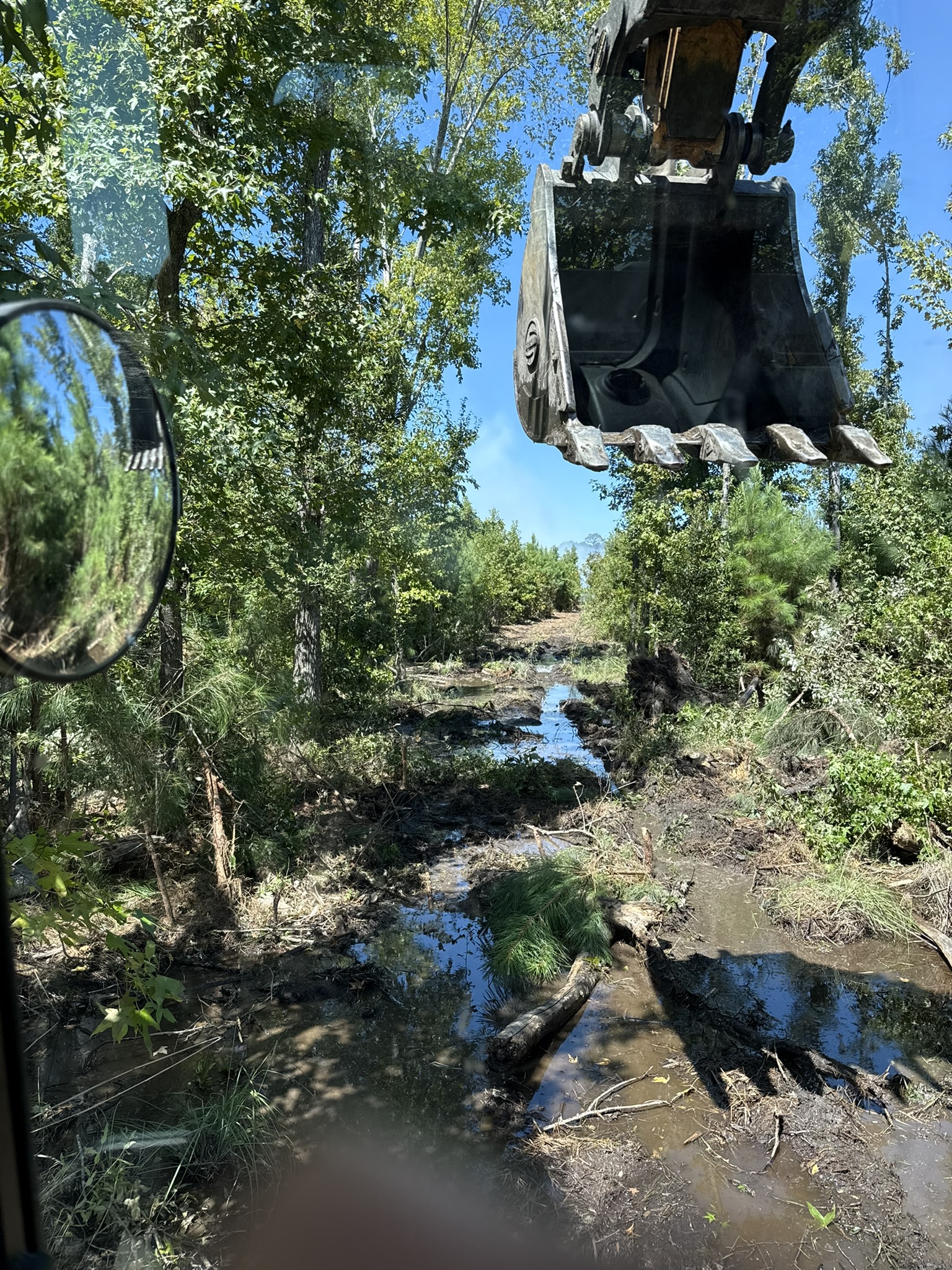 Photo of excavation equipment working in a wooded area to clear brush, remove debris, or prepare land for improved drainage and access.
