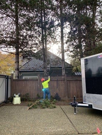 Images Green Nature Tree Service LLC