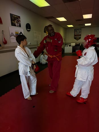 Images Jaguar Dojo