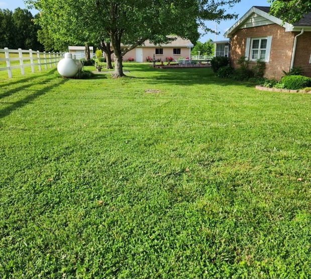 Images Cooks Lawn Care Service