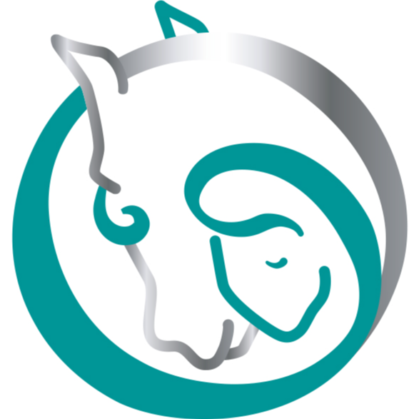 Dabeau Coaching met paarden Logo