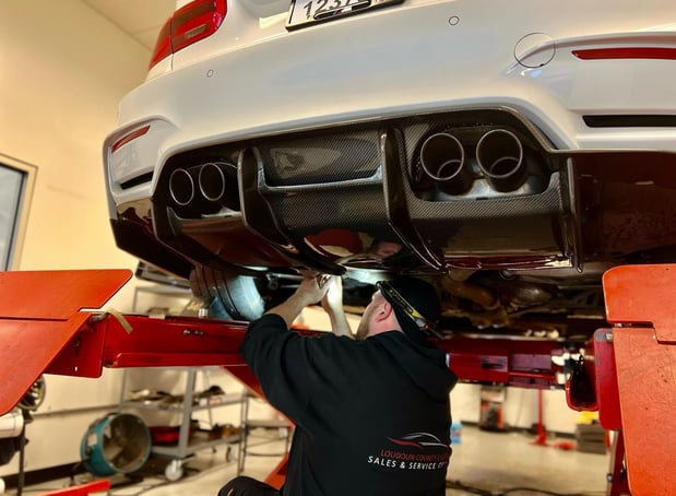 Images Loudoun County Exotics