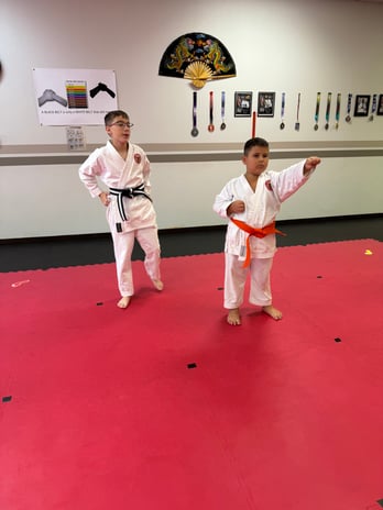 Images Jaguar Dojo