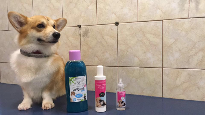 Images Toelettatura Moderna di Over Line s.r.l.