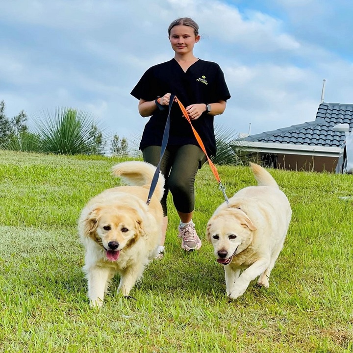 Images Paw Park Pet Resort