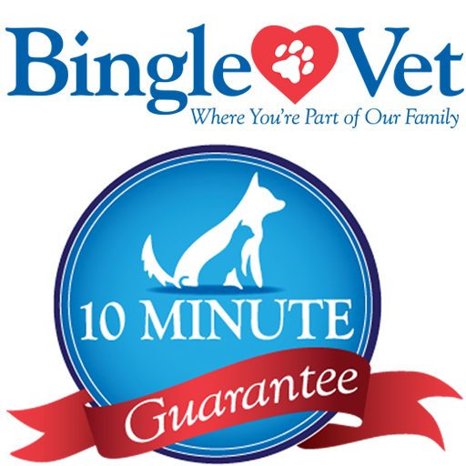 Bingle Veterinary Clinic Logo