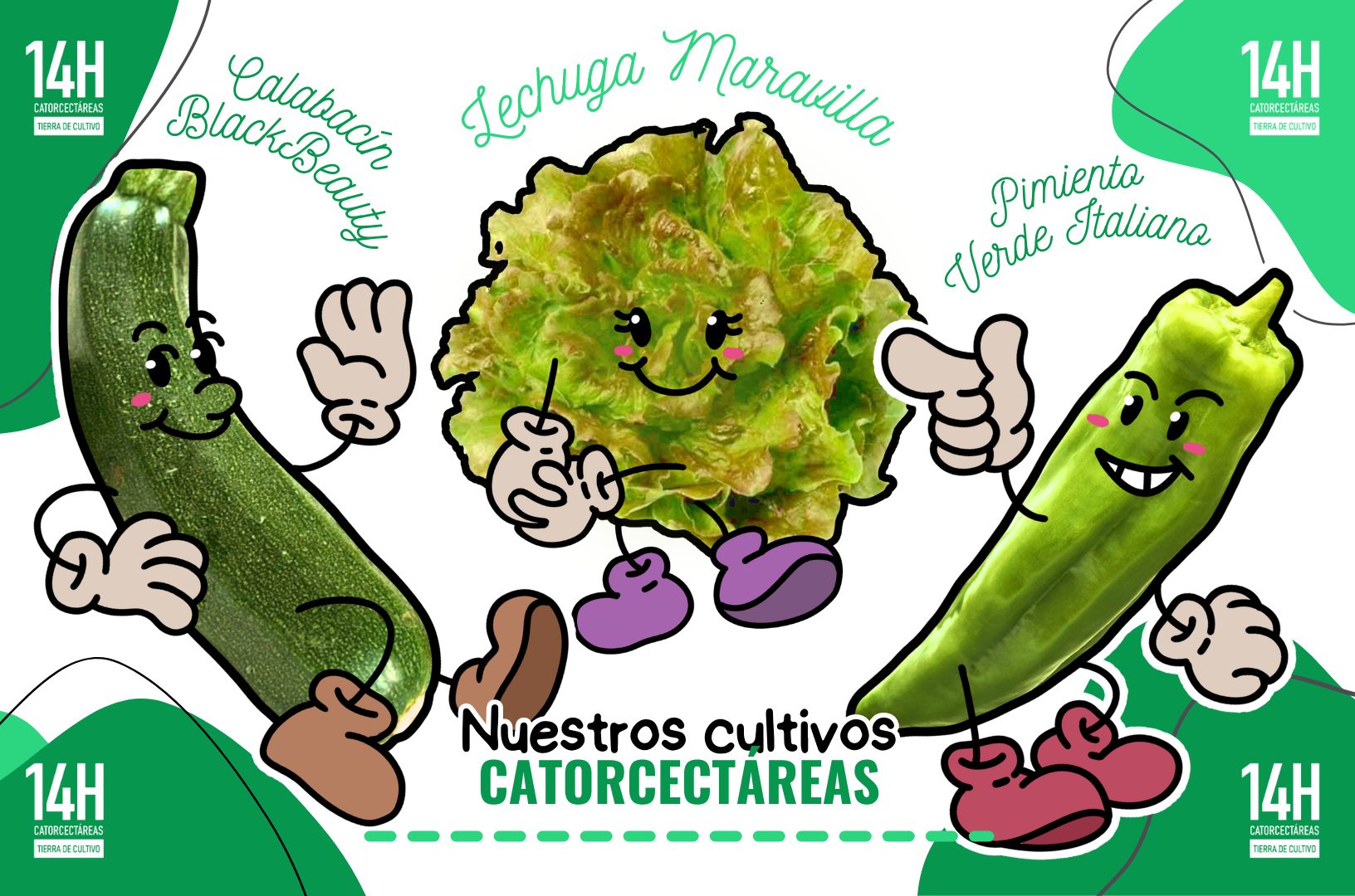 Images Catorcectáreas