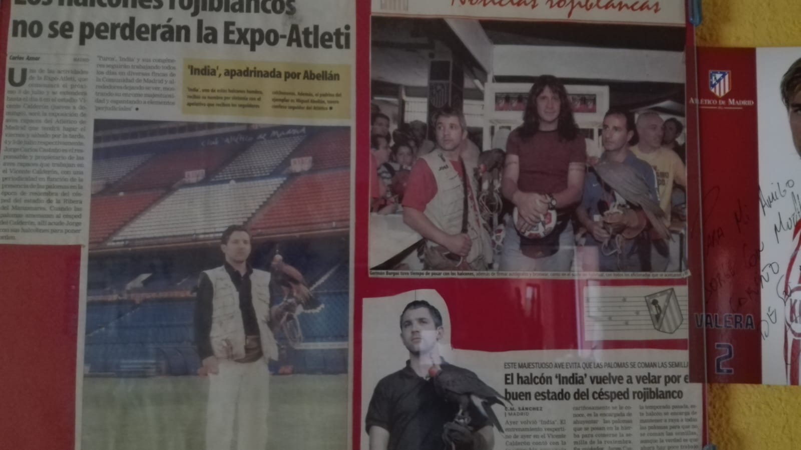 Images Bird Control Falcon S.L.