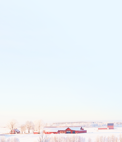 A farm in a snowy field.