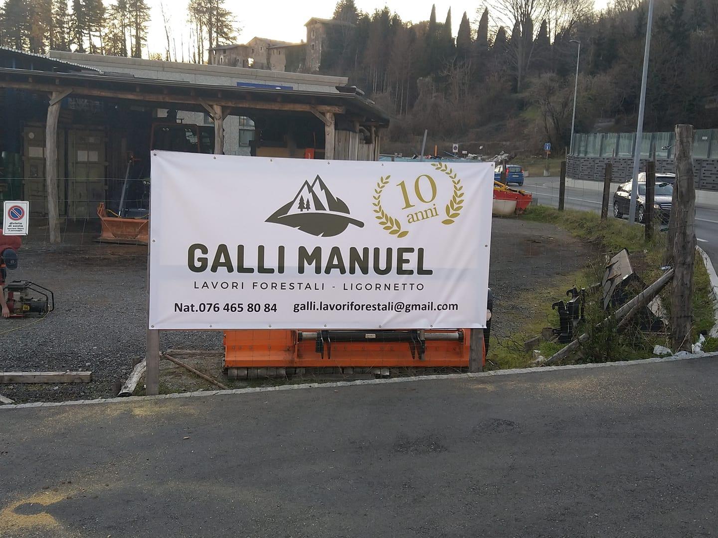 Bilder Galli Manuel