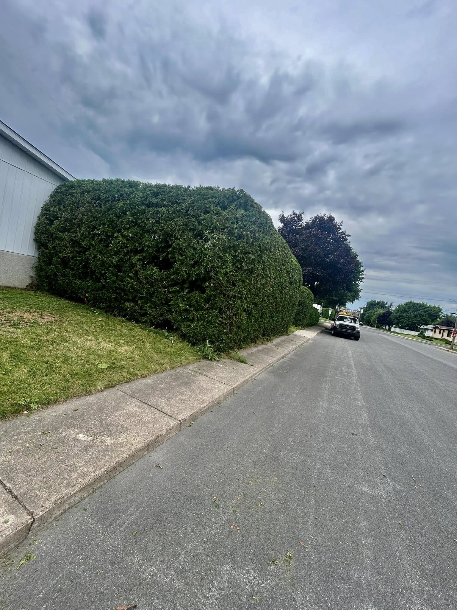 Images Taille de haie EB - Entretien de haie Saint-Hyacinthe