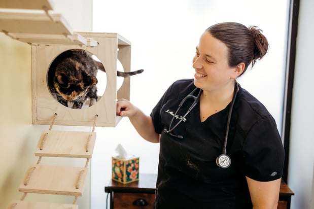 Images PetVet365 Pet Hospital Indianapolis / Eagle Creek