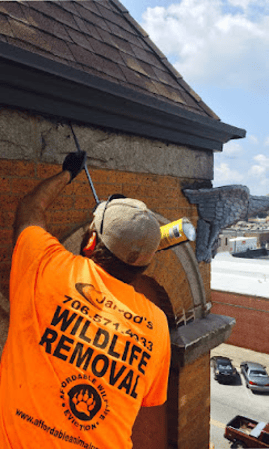 Images Local/US Wildlife Pro