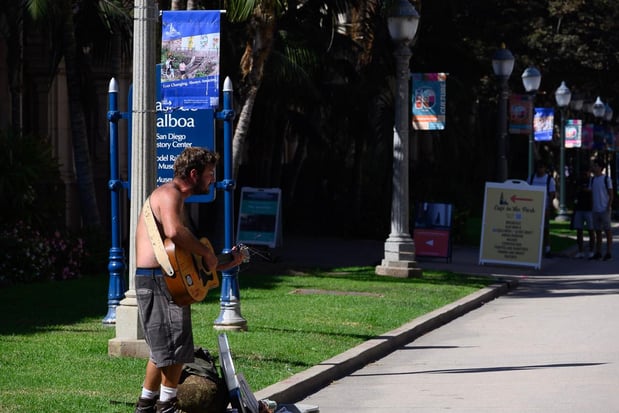 Images My Canvas Portraits