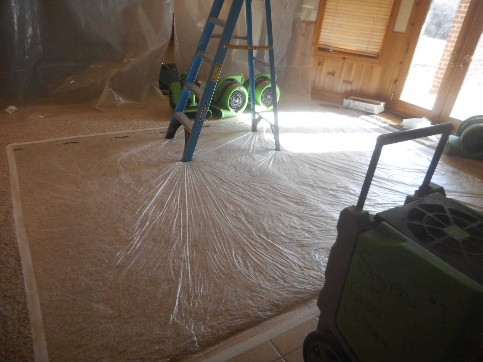 When mold is found, our professionals have all the tools to handle it correctly.