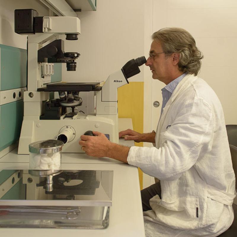 Images Alaimo Dr. Luigi Specialista in Ostetricia e Ginecologia