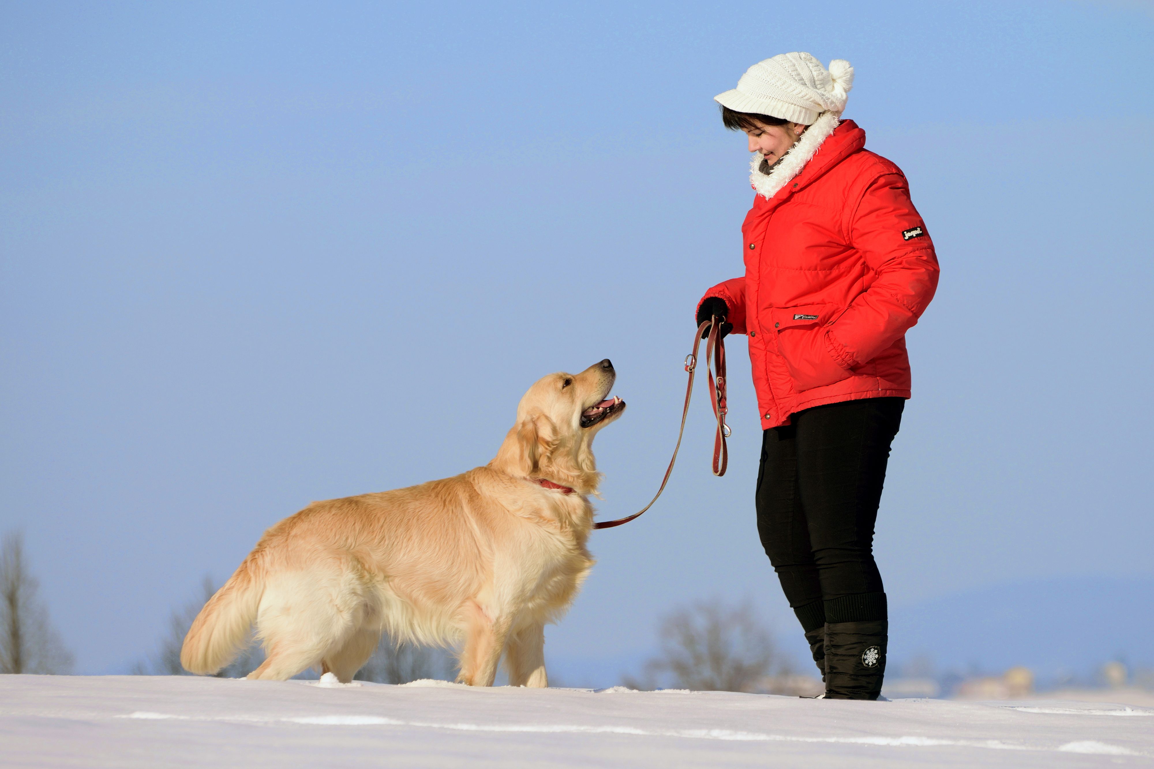 Bild 30 von DieHaustierSeite - Uschi Kasbauer