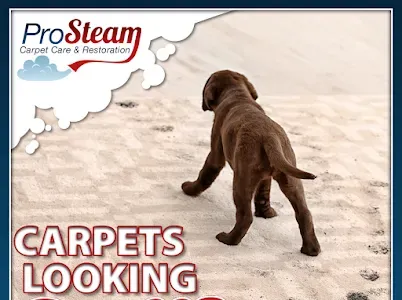 Images ProSteam Carpet Care Iowa