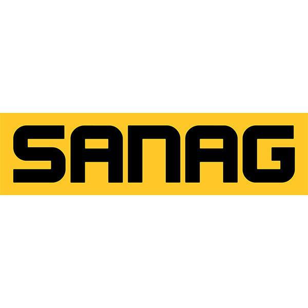 SANAG Sanierung GmbH - Zentrale Logo