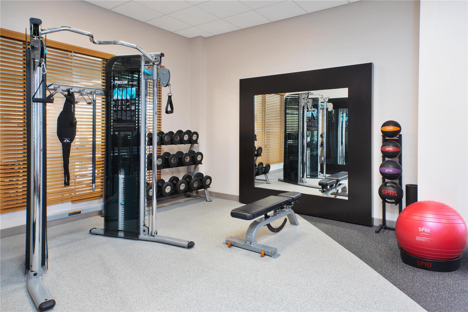 Health club  fitness center  gym