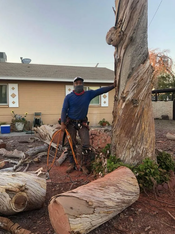 Images A Hernandez Landscaping