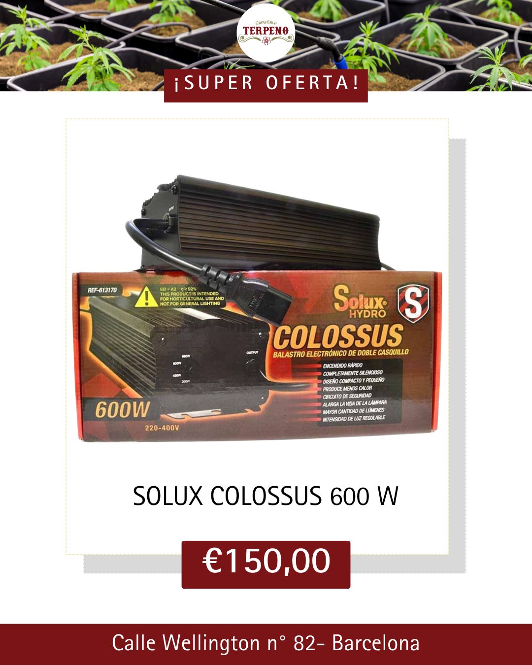 Images Grow Shop Terpeno