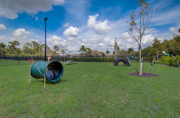 Images Everly Apartments