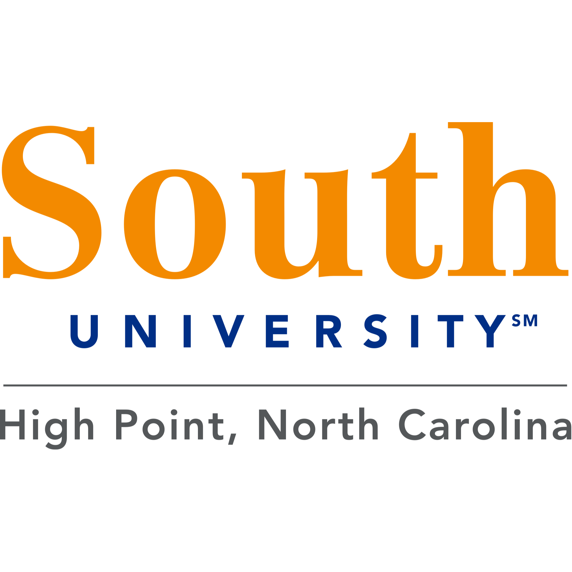 South University, High Point Logo