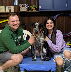 Images Molasses Creek Dog Training, LLC