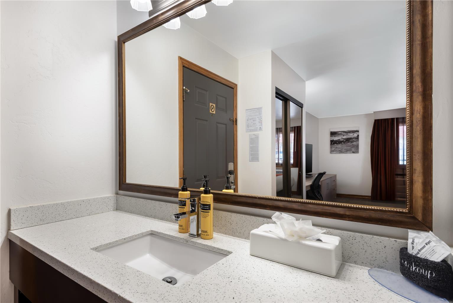 Double Queen Room (Pet-Friendly) Bathroom
