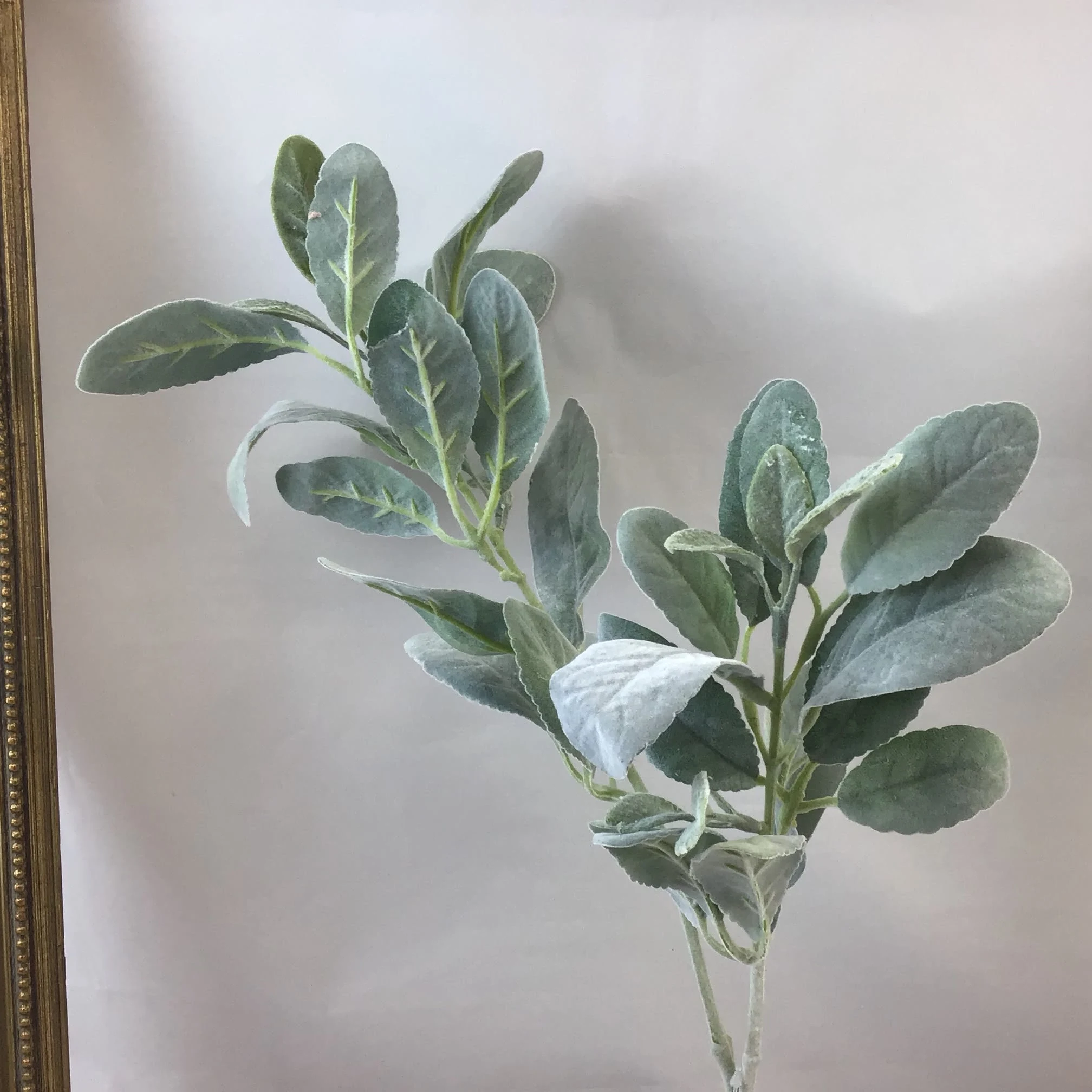 Images Village Green Wholesale Ltd