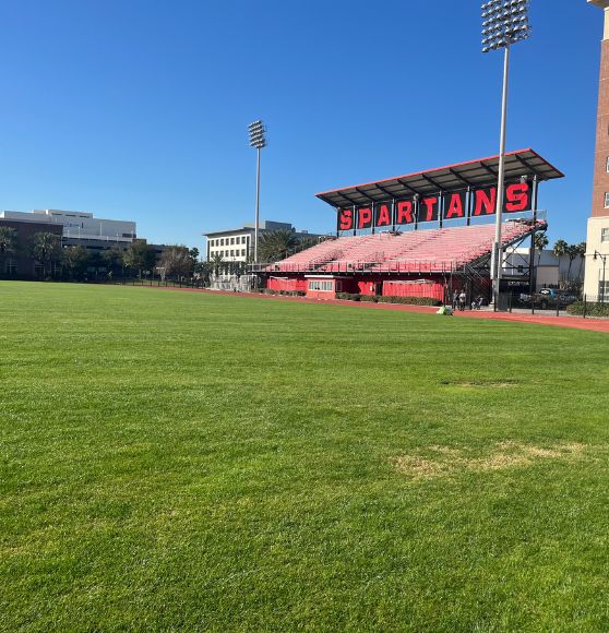 FIELD OPS Tampa Image