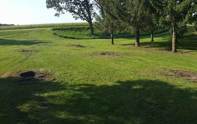 Northland Stump Removal