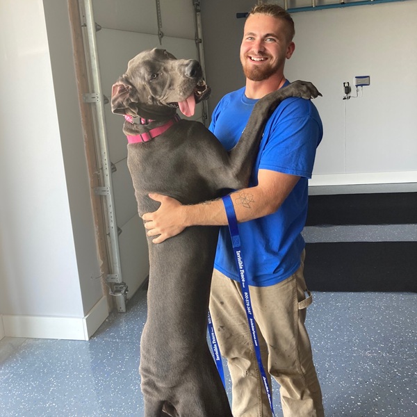Dog being trained on Invisible Fence® in Lapeer County, Michigan