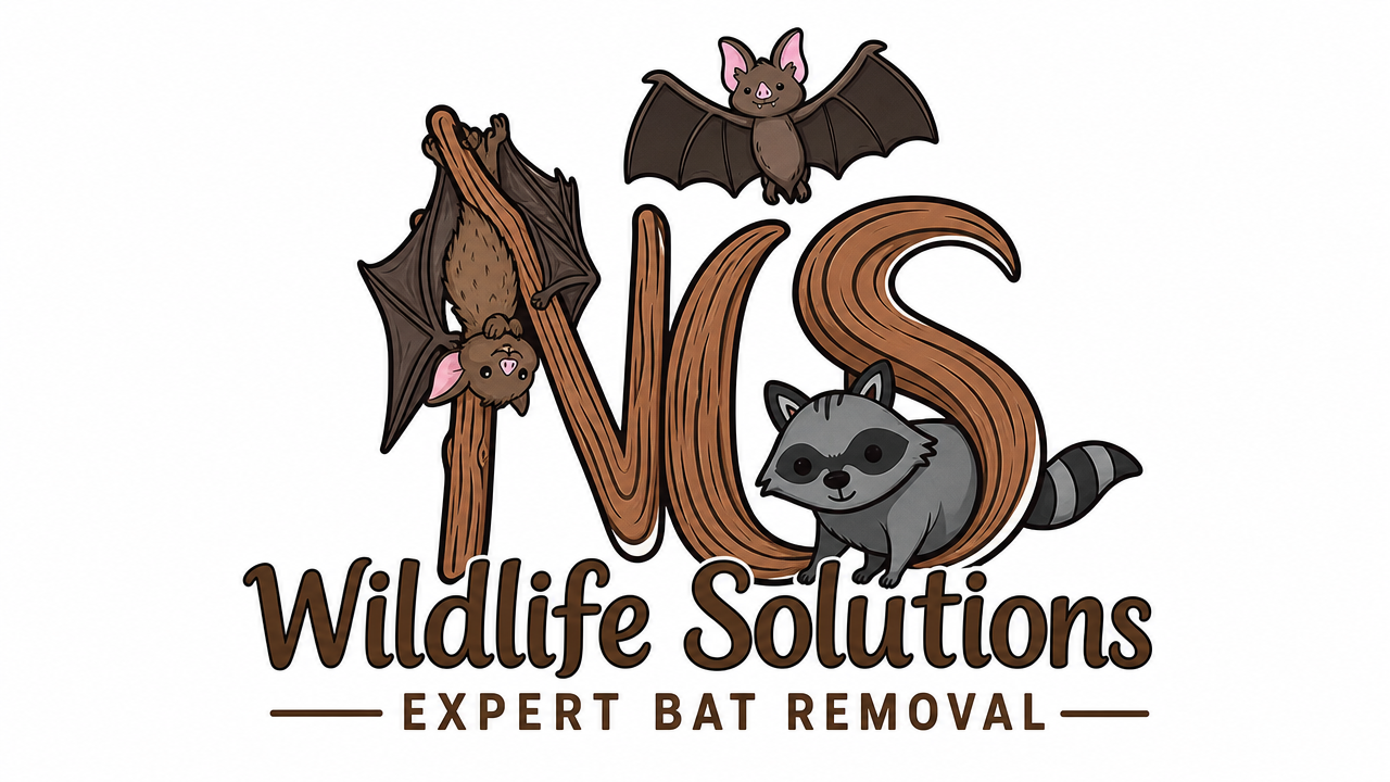 #HumaneBatRemoval #FairfieldCountyCT #NewHavenCounty #CTWildlifeControl #AtticRestoration #SignsOfBa 