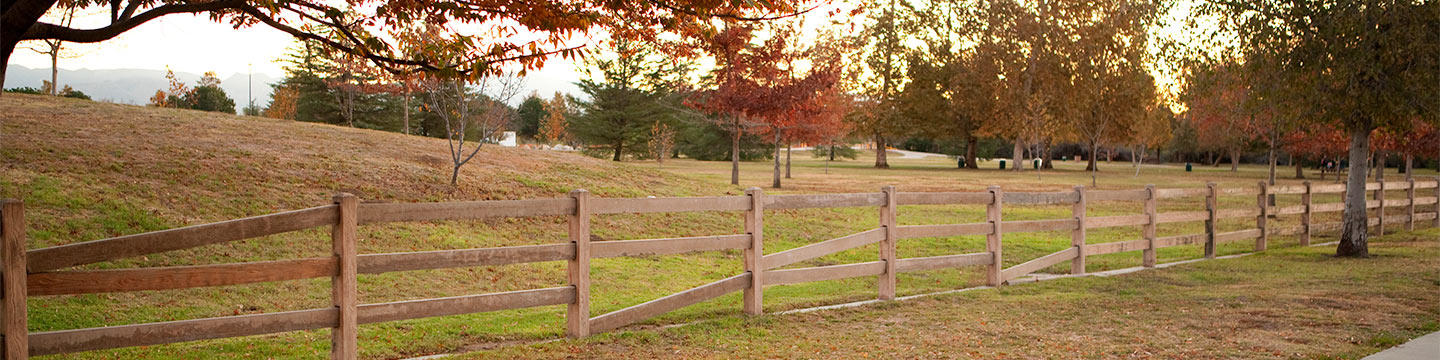 Field with fence
