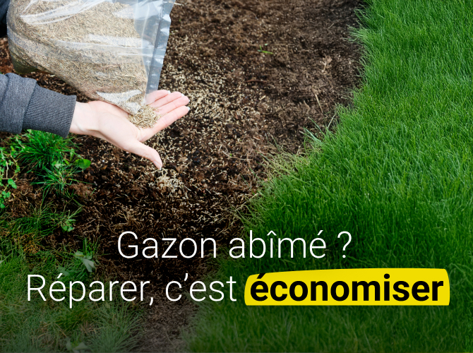 Regarnir sa pelouse après la sécheresse : les essentiels