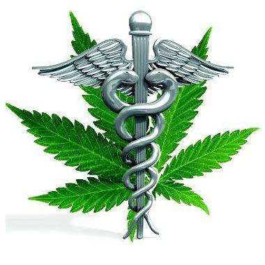 Home of Marijuana