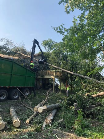 Images JCE Tree Service