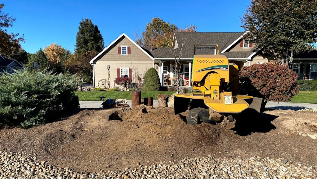 Stump Grinding Boise & Meridian, ID | Tree Stump Removal Service