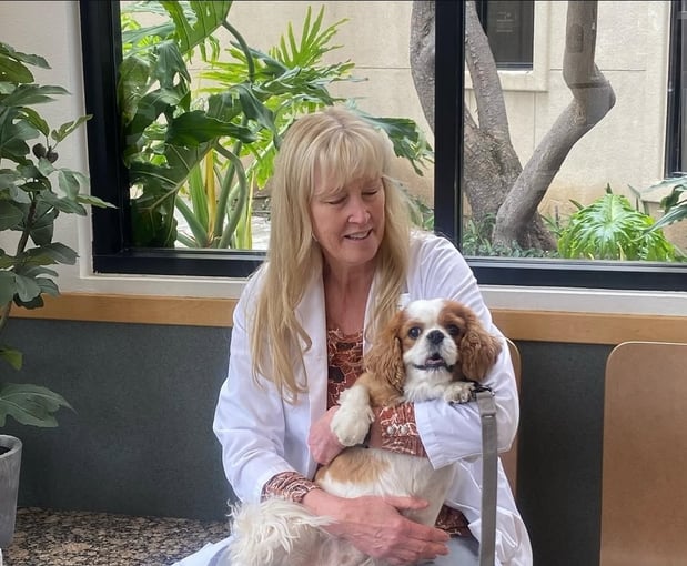 Images VCA Santa Margarita Animal Hospital