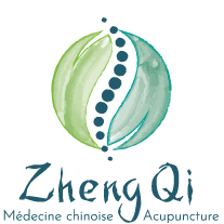 Zheng Qi Logo