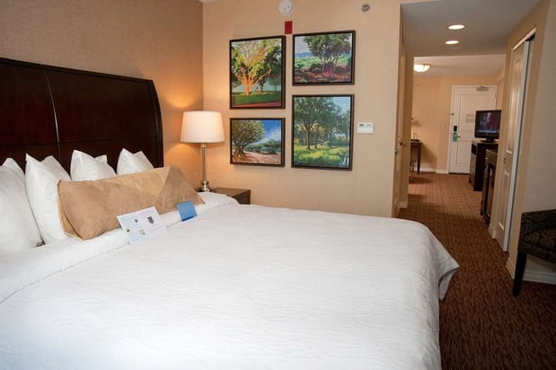 Images Hilton Garden Inn St. Louis Airport