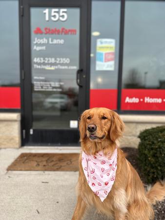 Images Josh Lane - State Farm Insurance Agent