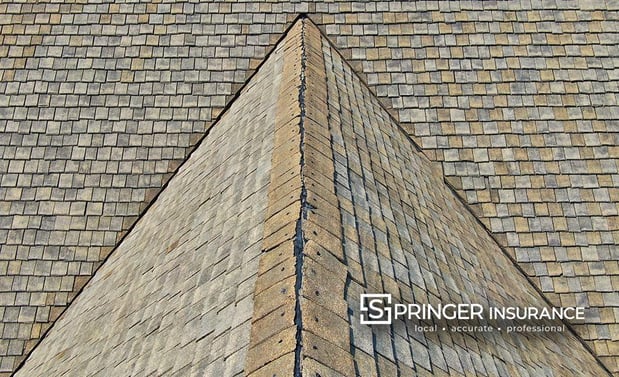 Images Springer Insurance