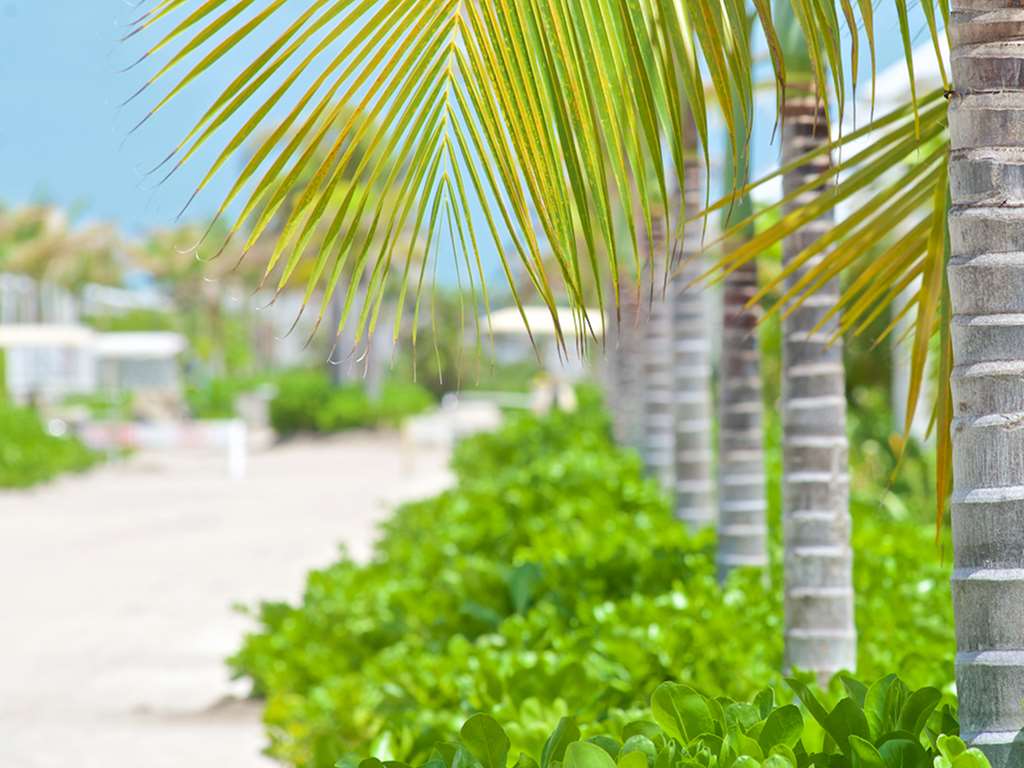 Mahogany Bay Resort & Beach Club, Curio Collection by Hilton
