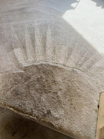 Images Green Solution organic carpet cleaning