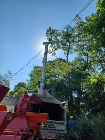 Images Perez Tree Service & Hardscaping